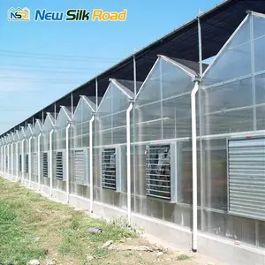 Grande serra agricola a più campate con struttura in acciaio zincato e copertura in policarbonato per uso vegetale