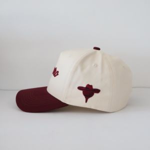 Gorra de Béisbol de 5 Paneles Personalizada con Bordado, Estilo Deportivo con Logotipo Impreso en Dos Tonos, Gorra de Béisbol Moderna sin Estampado - Product Image 5
