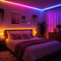Bande lumineuse LED néon RGBIC en plastique, rouleau de 3 m, flexible, alimentée par batterie, ruban pour intérieur, contrôle par application tactile