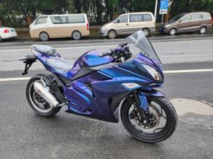 High Performance Electric Motorcycle Factory Direct Sales 3000 5000 7000 8000 <strong>10000</strong> 12000 <strong>Watts</strong> Available Wheel <strong>Hub</strong>/chain <strong>Motor</strong> - Product Image 2