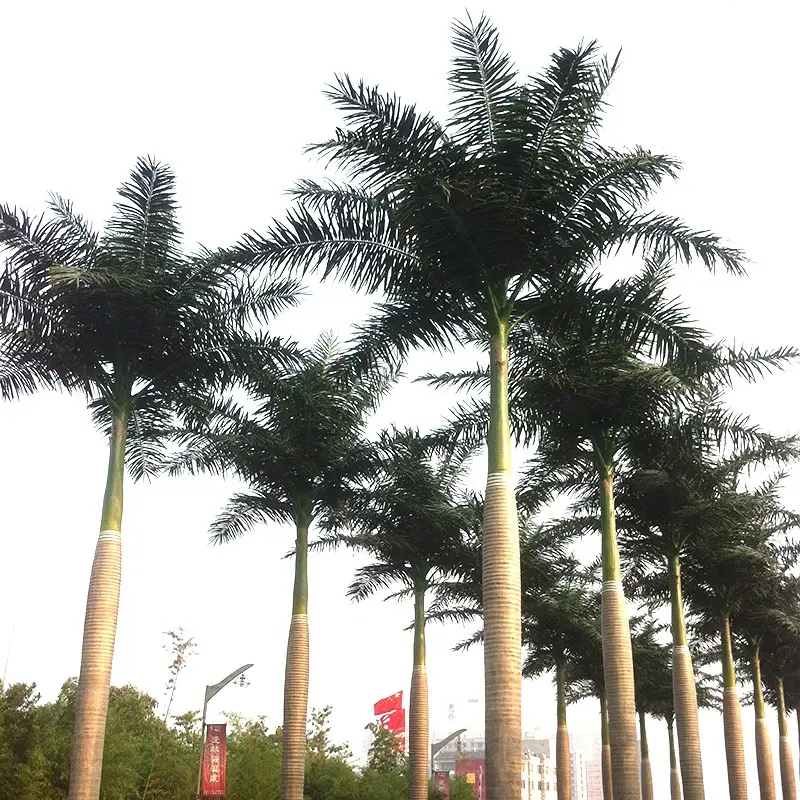 Passen Sie gefälschte Palmen im Freien künstlichen Kokosnuss baum Innen 3m hohe Palme Party Dekor