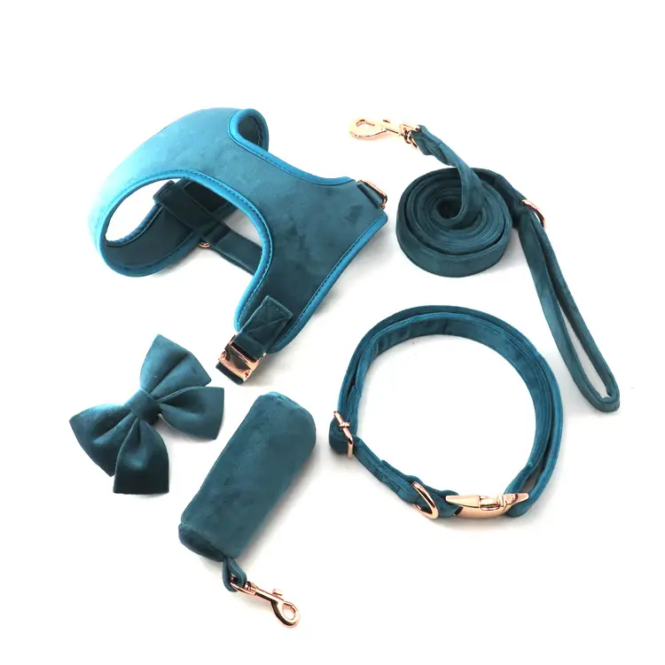 Huisdier Producten Set Custom Pvc Logo Fluwelen Zachte Halsband Leash Verstelbare Veiligheid Hondentuig Voor Best Pet Gift