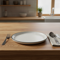 Service de table en grès de luxe classique |   Assiettes et tasses en céramique blanche émaillée |   Vaisselle résistante à la chaleur, anti-fuite, compatible lave-vaisselle et four