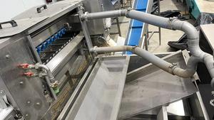 Strauss profesional 1 línea para espárragos en Alemania Diseño inteligente de alta eficiencia Línea de clasificación de vegetales de clasificación de frutas usadas - Product Image 5