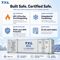 Système de Stockage d'Énergie Commercial (BESS) Conteneurisé 250kW 500kWh pour Parcs Industriels, avec Gestion de la Charge de Pointe, Hybride Réseau, EMS Cloud, LiFePO4, T.Y.L AIR