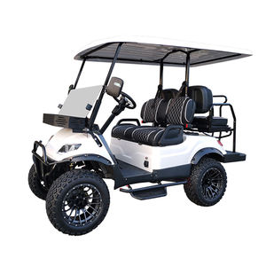 MADE-IN-VIETNAM 2025 plus récent Design Resort Hotel Park Golf Course Sightseeing Golf Car High - Product Image 6