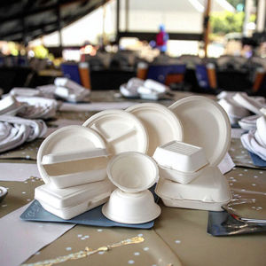Platos de Papel de Caña de Azúcar Biodegradables de Alta Calidad de 9 Pulgadas, Ecológicos y Desechables para Restaurantes y Bodas - Product Image 3