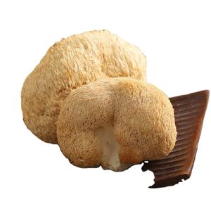 Detan सुपर प्रीमियम बनाने का कारखाना सूखे Hericium Erinaceus मशरूम - Product Image 1