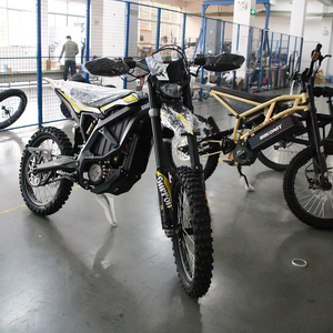 Fine Class 2025 Tout Terrain Haute Vitesse Léger Longue Portée Moteur Sans Balais Hors Route Utilisation Électrique Dirt Bikes Ultra Bee - Product Image 5