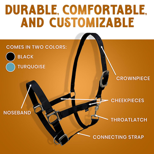 Usine OEM réglable cheval licou harnais accessoires pour poneys petits chevaux course équipement équestre cheval licou bride - Product Image 4