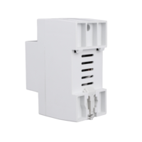 Dispositif de relais intelligent WiFi TUYA 2P63A, interrupteur-disjoncteur monophasé, protection contre les fuites à la terre, protection contre les surtensions, compteur kWh, mesure de la puissance, Smart Life