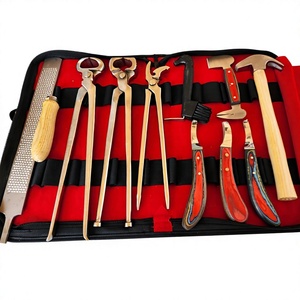 Kit d'outils professionnels pour fermeurs, ensemble de coupe de sabots pour chevaux, instruments de qualité supérieure approuvés ISO/CE - Product Image 1