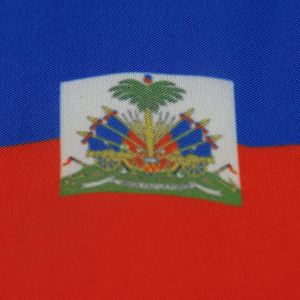 Banderas de Escritorio de Haití, Banderas de Negociación <span class=keywords><strong>y</strong></span> Adornos de Mini Banderas Nacionales con Base de Plástico, Personalizables con Logotipo - Product Image 2