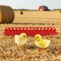 Nouvel équipement d'élevage de poulets personnalisé en usine, mangeoire automatique en plastique durable à 20 trous pour pigeons, poussins et cailles, garantie 1 an