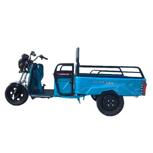 China cheap for sale customize electric cargo tricycle 3 wheel electric for cargo