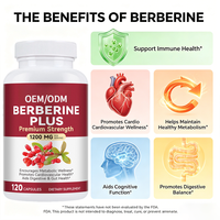 120 Capsules OEM Berberine Plus 1200mg – Soutient le Métabolisme, la Santé Cardiovasculaire et Immunitaire – Complément Alimentaire Compatible Keto