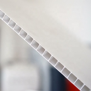 Prix d'usine 4mm Feuilles de polypropylène alvéolaire en plastique ondulé blanc - Product Image 6