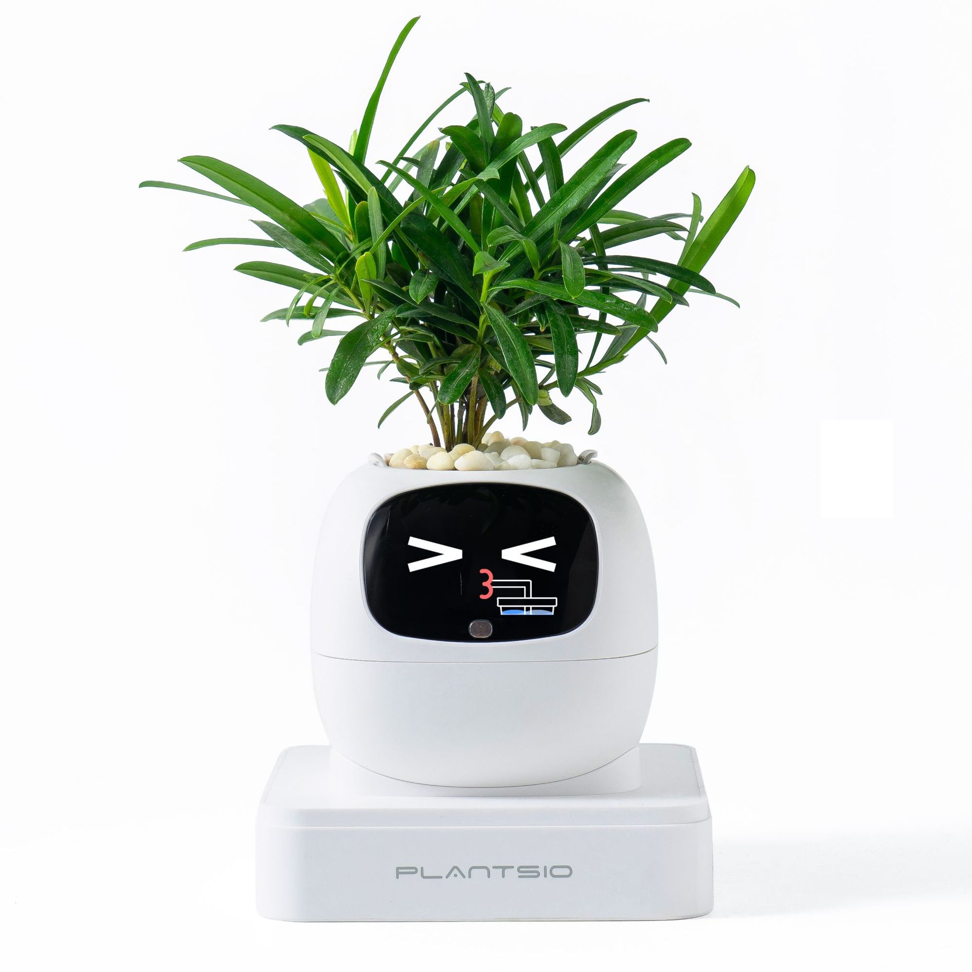 Pot de fleurs électronique Lvy de deuxième génération blanc-anglais