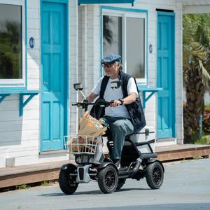 Vancoor 48V 500W kargo skuter listrik 13 "ban Area Indah kargo pertanian 4 roda DIY Vendor keranjang mobilitas 80km rentang Per biaya - Product Image 2