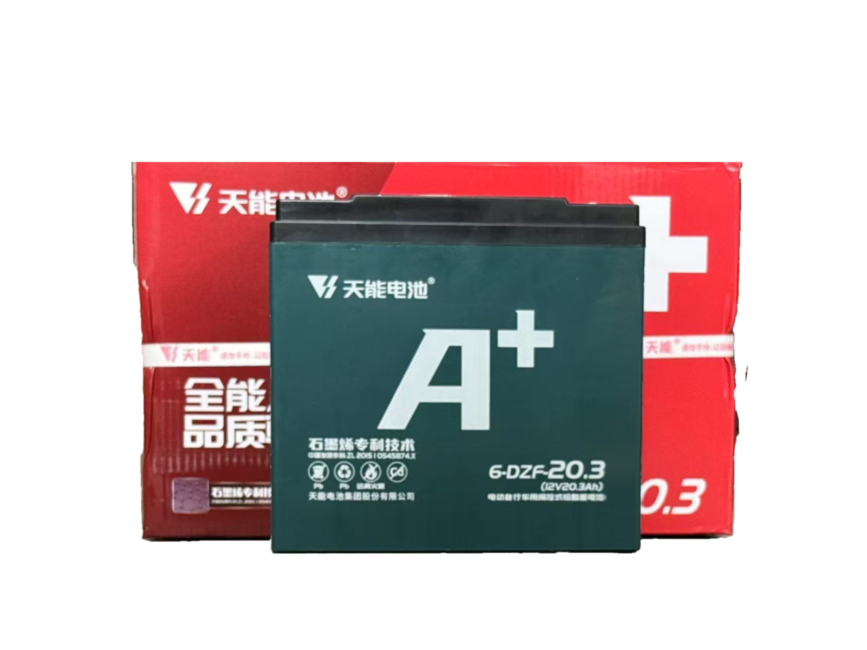 Wholesale Tianneng 6-DZF-20.3 Electric Bicycle Battery