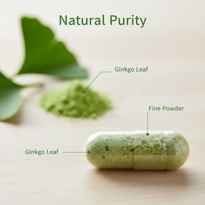 Kapsul Ginkgo Biloba + Vitamin <span class=keywords><strong>B</strong></span> Kompleks 120mg 60 Kapsul |   Suplemen Diet OEM/ODM untuk Dewasa |   Dukungan Memori 2 Kapsul PER - Product Image 4