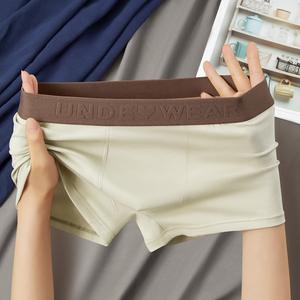 Bóxers de Algodón Sin Costuras de Marca Privada de Lujo para Hombre, Calzoncillos Boxer Personalizados con Logotipo, Fabricante de Ropa Interior Sexy para Hombre - Product Image 5