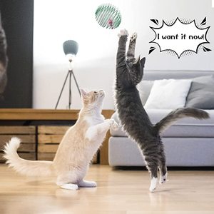 Eco-Friendly Cat Toy from <strong>Pet</strong> Supplier Colorful <strong>Playful</strong> Coils with Mouse Fur Stretchable Rolling Balls for Cats - Product Image 2