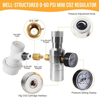 Kits de fût Ball Lock 10L avec raccord Ball Lock, ligne de distribution de bière liquide, robinet de pique-nique, régulateur de CO2, fût Corny 2,5 gallons, fût Cornelius