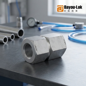 Raccord <span class=keywords><strong>de</strong></span> valve en acier inoxydable 316L, raccord femelle égal, couplage Bayou-Lok NPT BSP, connecteur <span class=keywords><strong>de</strong></span> tuyau - Product Image 4
