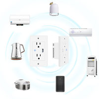 Prise murale intelligente Zigbee WiFi avec port USB, résistante aux manipulations, 2 prises CA, port USB, prise de courant intelligente pour la maison, double tension