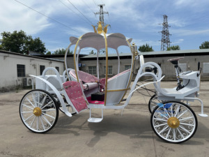 HengYiSheng Carrosse Électrique Citrouille Royale - Utilisation Mariages et Parcs d'Attractions Origine Henan - Product Image 2