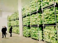 Solución Integral para Proyectos de Almacenes de Cadena de Frío: Centro de Distribución y Procesamiento de Carne con Caja de Cambios Automática Copeland Emerson