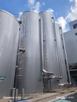 Cuve de Fermentation Sanitaire en Acier Inoxydable 5BBL 10BBL 20BBL pour Brasserie Artisanale et Pub