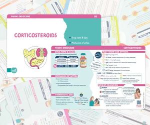 Set Completo di Carte Compatte Personalizzate per Categorie di Farmaci, Scopi Terapeutici, Nomi Generici, Antidotti, Etichette, Farmacologia, 230+ - Product Image 2