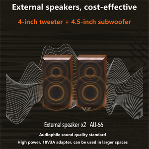 TRL40 OEM Stéréo HiFi Son de qualité supérieure Boîte portable en bois pour tourne-disque <span class=keywords><strong>vinyle</strong></span> 5.0 Aux USB Radio FM 33/45 RPM Type-C - Product Image 4