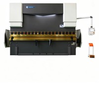 Prensa Plegadora CNC con Estructura de Barra de Torsión y Marco Soldado Sólido 250T4000 TP10S con Programación de Ángulo para Acero al Carbono