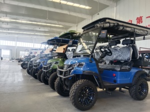Vente en gros : Nouveau chariot de golf 4+2 places, buggy, batterie plomb-acide/lithium, moteur 3500W-7500W, 30-50Km/h, forte demande - Product Image 6