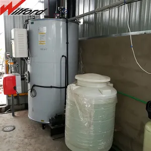 Steam Rice Boiler Vertical 300kg Gas Steam Boiler For Rice Husk Power Plant