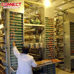 Comederos Automáticos para Gallinas de Granja, Jaulas para Animales, Jaulas Tipo H para Ponedoras, Jaulas de Batería para Alimentar Pollos - Product Image 1