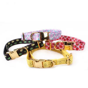 Amzn Personalized <b>Dog</b> Collar Metal Breakaway Buckle Hardware Custom Printed Fashion Leash Pet Collar and Matching Style - Product Image 2