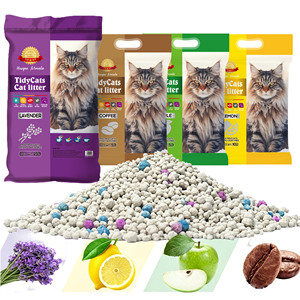 Litière pour chat en bentonite écologique Eisen, sans poussière, hautement absorbante, 4 kg, prix d'usine, sable sanitaire pour chats - Product Image 1