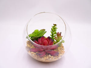 Fiore Succulento Artificiale Moderno <span class=keywords><strong>in</strong></span> <span class=keywords><strong>Vaso</strong></span> di Vetro, Piccola Pianta Succulenta Artificiale - Product Image 6