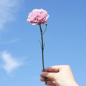 ผ้าไหมประดิษฐ์ทำมือลายหมึกสาขาเดียวขนาดเล็ก SN-AF149ดอกไม้ประดิษฐ์ที่เป็นมิตรต่อสิ่งแวดล้อมบ้านโรงแรมมอลล์ตกแต่งงานแต่งงาน - Product Image 3