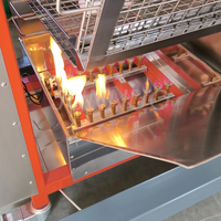 Nuevo diseño de fábrica 48 Pollo Barbacoa al aire libre Pollo usado Carbón Gas Asador