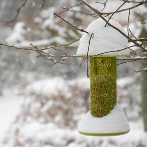 Esschert Design Toit Vert Suspendu Mangeoire pour Oiseaux Extérieur Silo avec Plateau "Chiffchaff" - Product Image 4