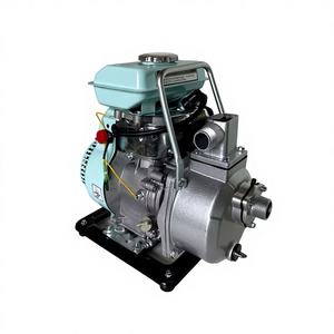 Pompe compacte WP10 ronde <span class=keywords><strong>avec</strong></span> une puissance d'aspiration de 6 mètres, idéale pour l'irrigation des petits jardins en saison sèche au Kenya. - Product Image 3