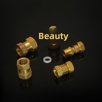 Raccord droit pivotant en laiton 1/2" 3/4" 1" à filetage femelle, raccord forgé pour chauffe-eau solaire basse pression