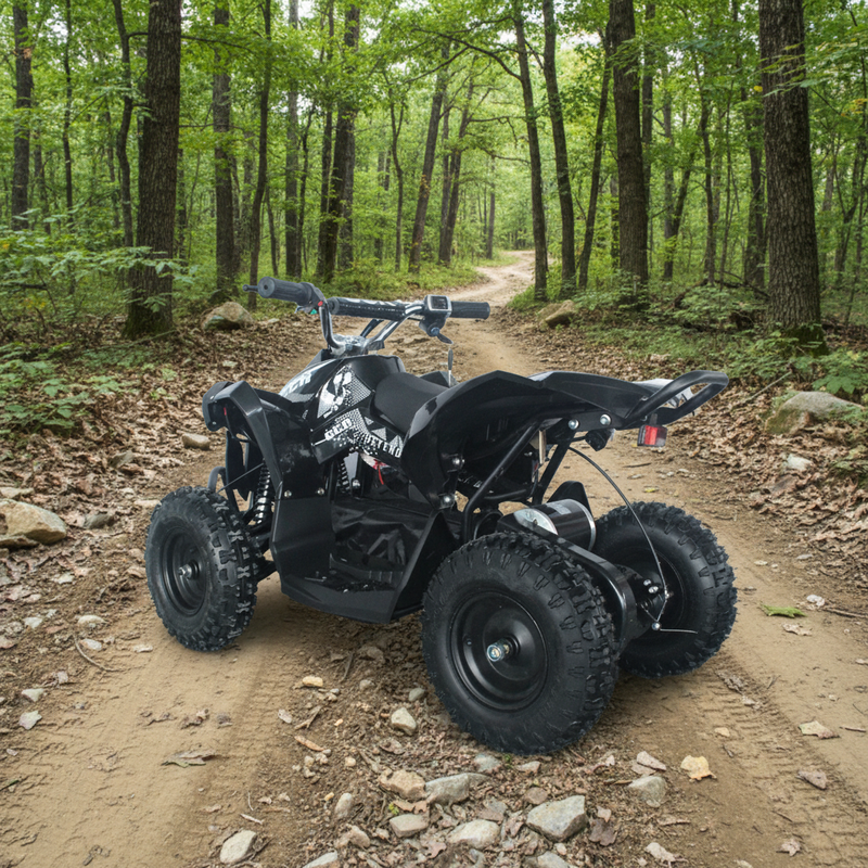 Multifunctional Electric Four Wheelers Atv Quad