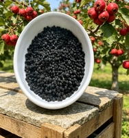 Engrais Composé OEM NPK 18-12-10 Organique Inorganique 7% Matière Organique à Base de Chlorure Engrais Spécial pour Bananes et Fruits de la Passion (Kiwi)