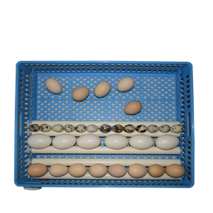 Инкубатор для яиц на <span class=keywords><strong>50</strong></span>, 120, 300, 500, 1000 куриных яиц с автоматическим переворотом, из цветной стали, прямые поставки с завода - Product Image 6